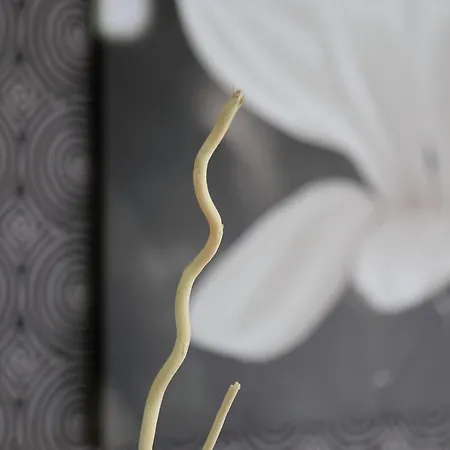 Rainbow 3 Club Sluneční pobřeží